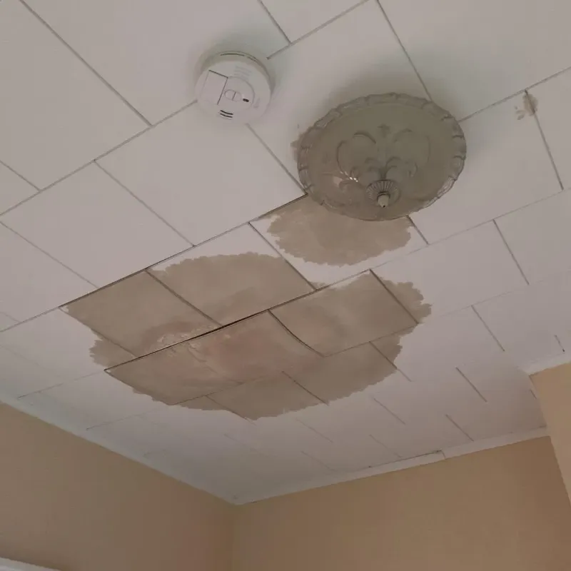 Ceiling Water Damage Repair in Itasca, IL